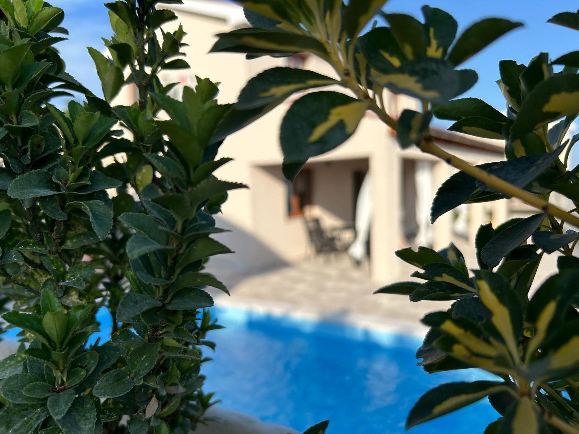 Villa Kamia With Private Heated Pool And Electric Vehicle Adapter Zubovići المظهر الخارجي الصورة